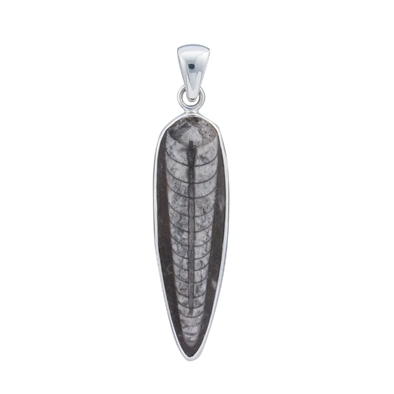 Sterling Silver Orthoceras Pendant